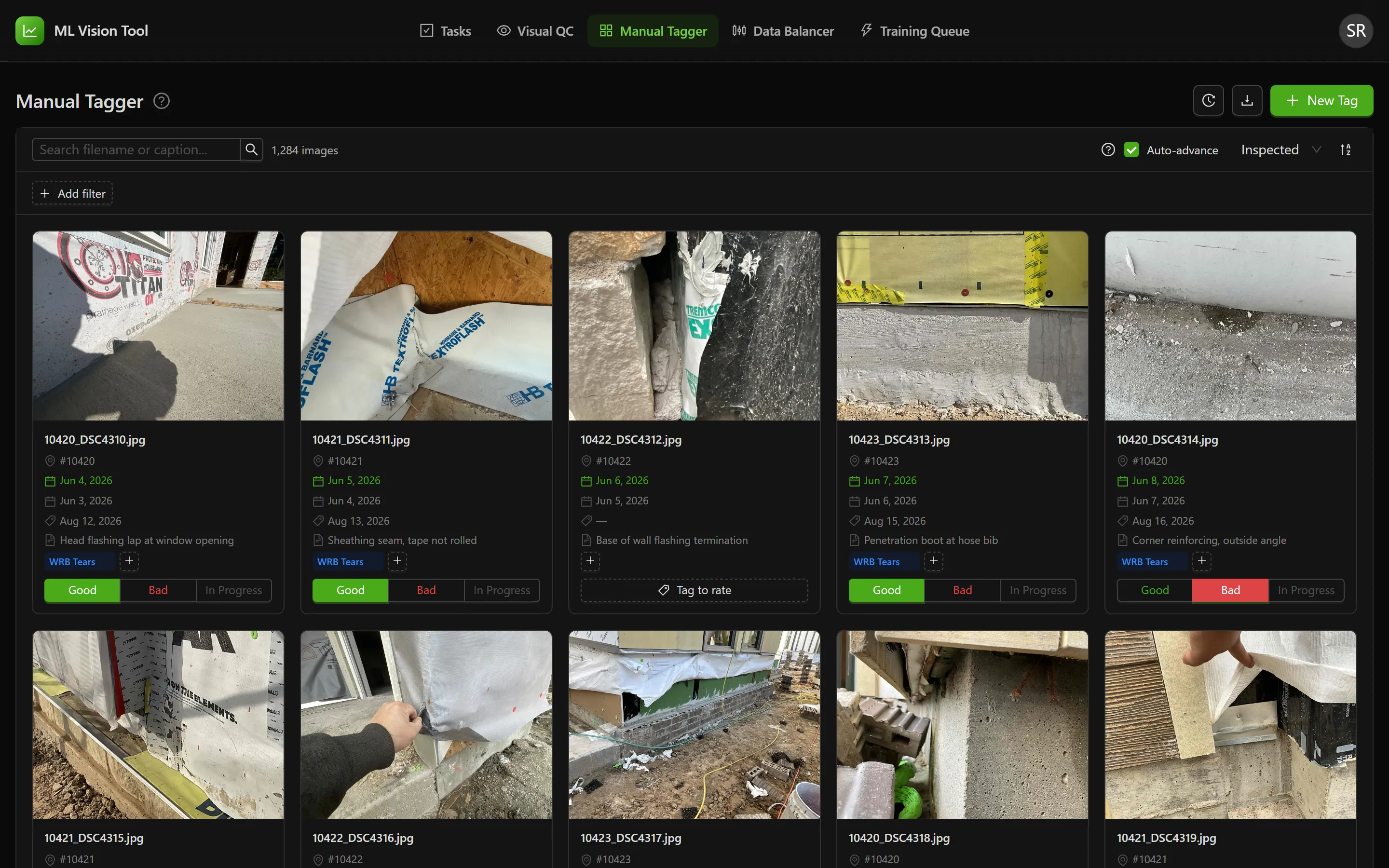 The Manual Tagger on first load, with the activity log, download and New Tag controls in the header, the search and filter toolbar below, and a grid of photo cards each showing its tags and rating buttons