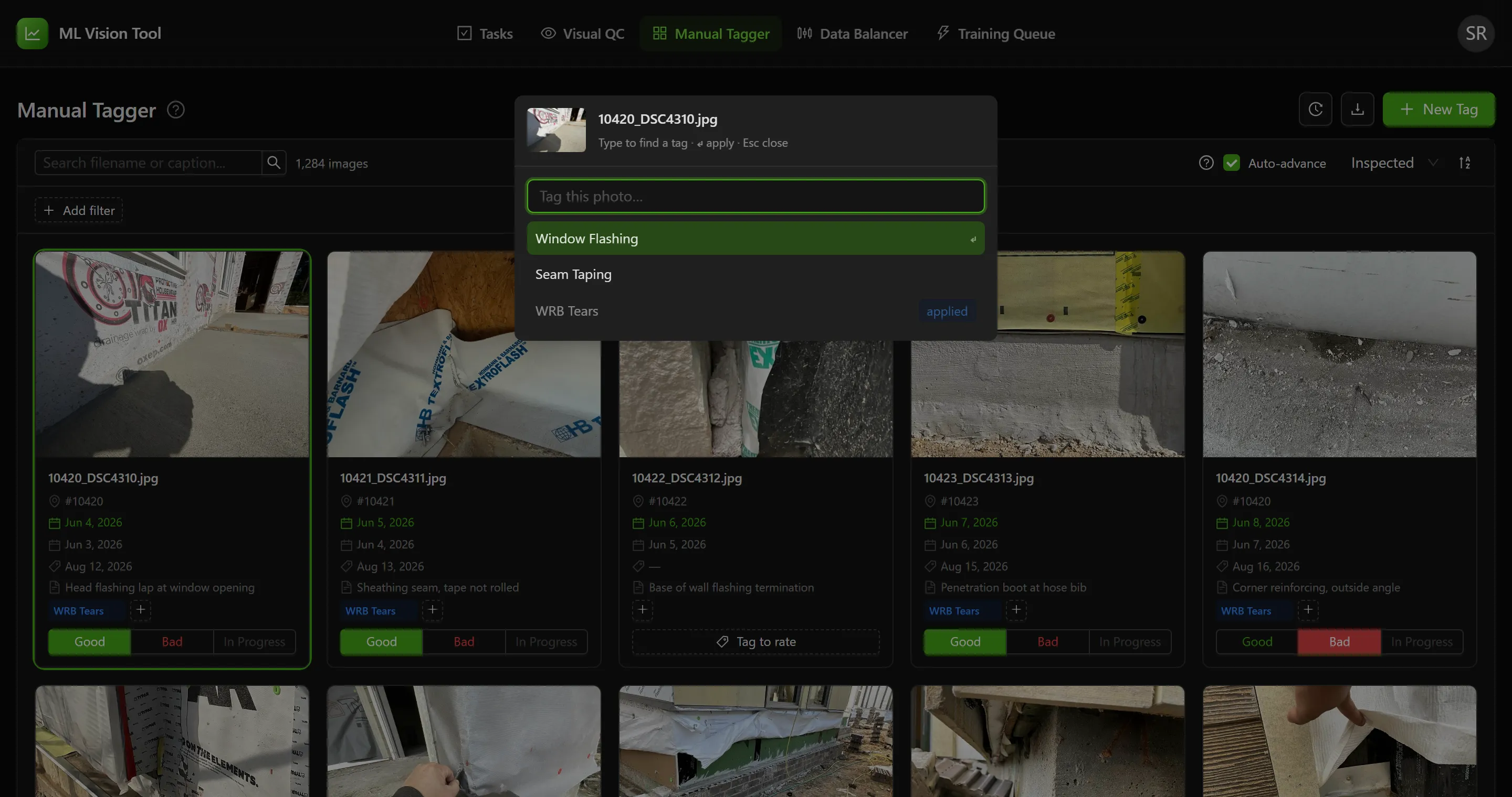 The quick-tag box open over a focused photo, with a search field, the hint line for the keys that drive it, and the tag list showing which tags are already applied