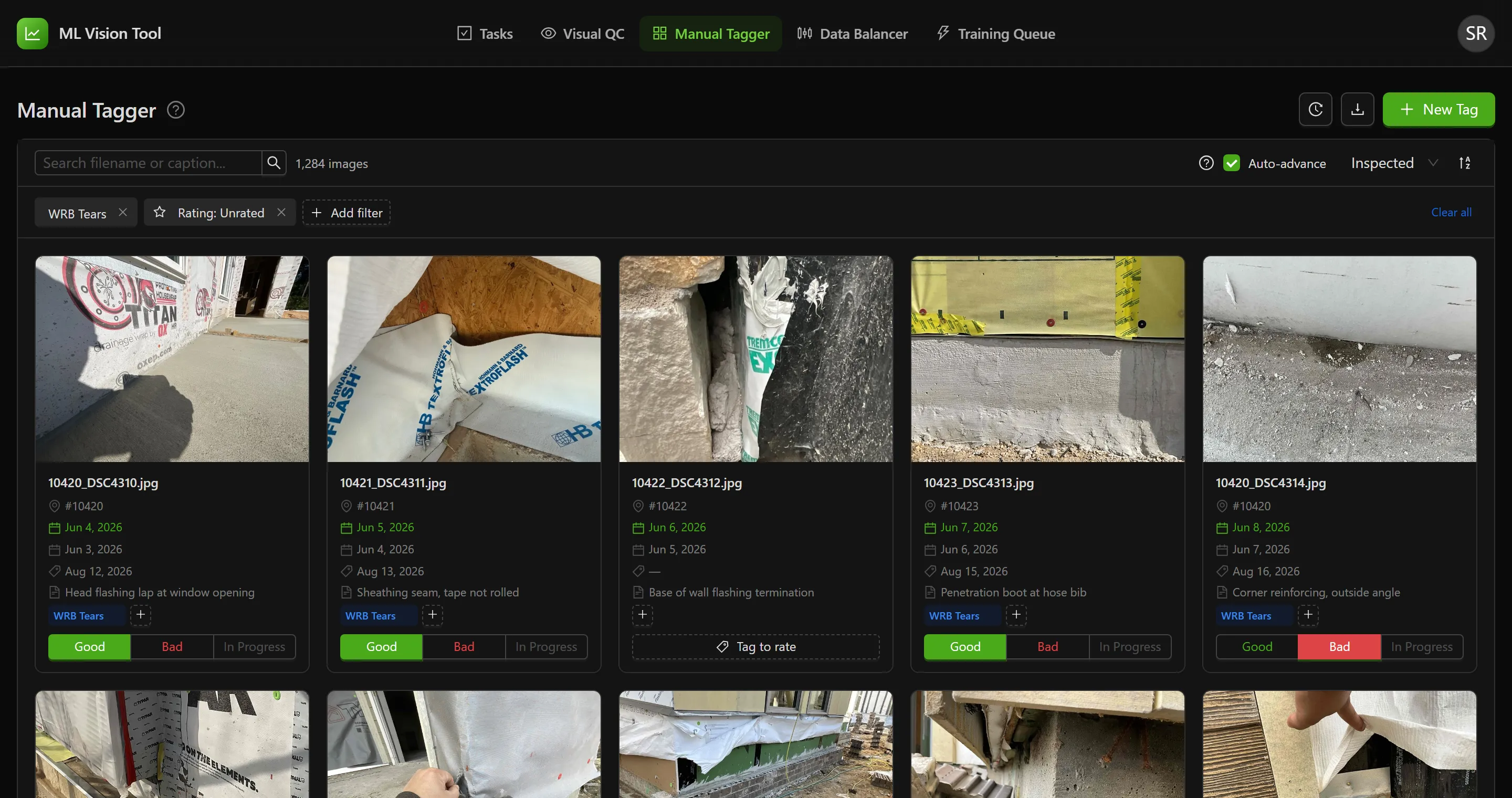 The Manual Tagger filtered to one tag with the rating set to unrated, showing both filter chips and the count of matching images beside the search box